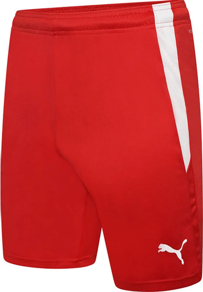 PUMA teamLIGA Sportshort 704924-01