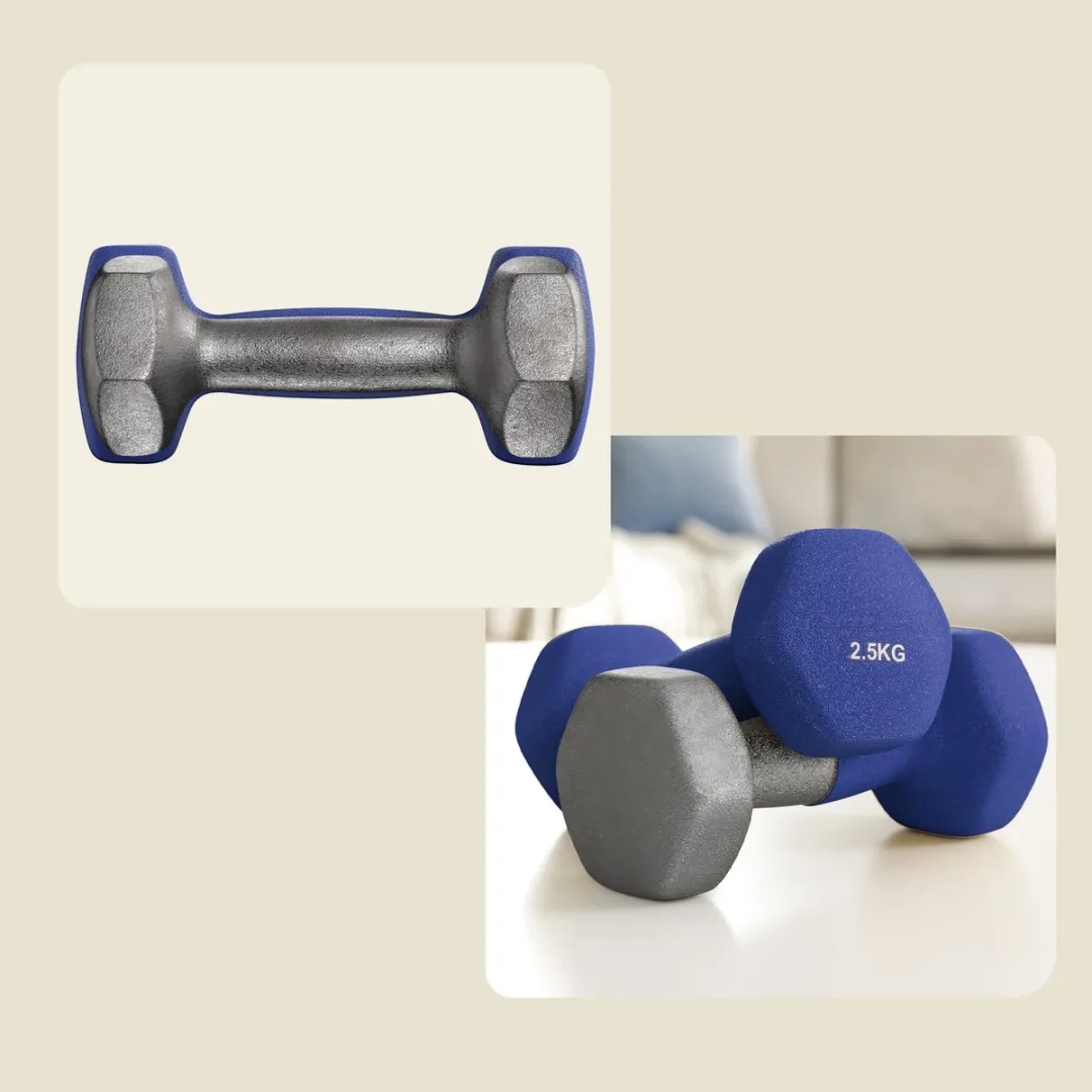 Songmics SYL65BU Halterset 2x2,5kg - Havenblauw