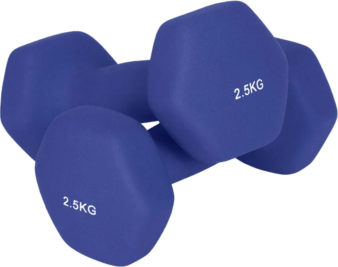 Songmics SYL65BU Halterset 2x2,5kg