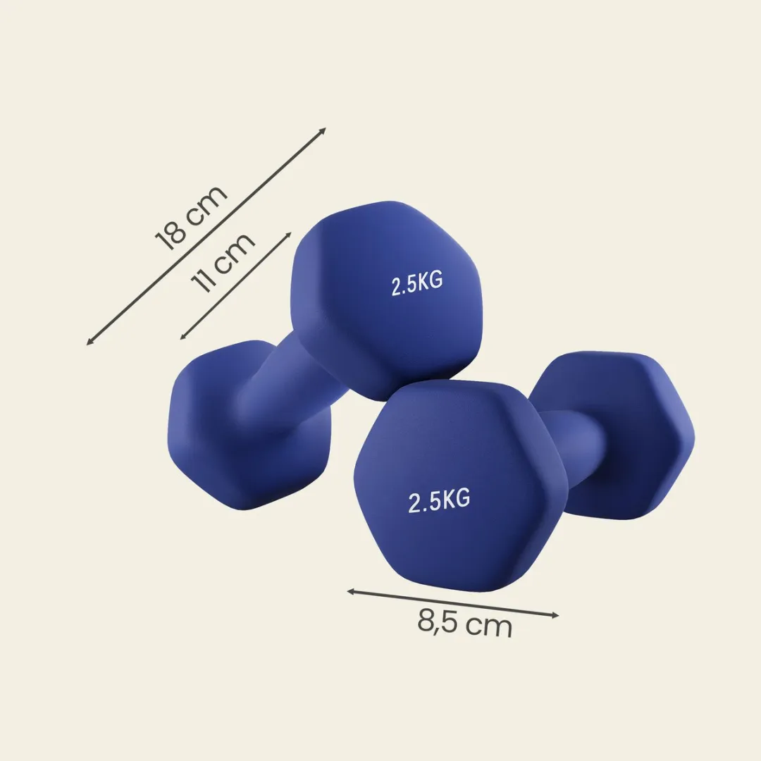 Songmics SYL65BU Halterset 2x2,5kg - Havenblauw