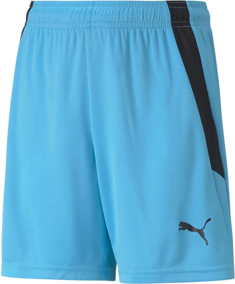 PUMA TeamLIGA Shorts Jr 704931