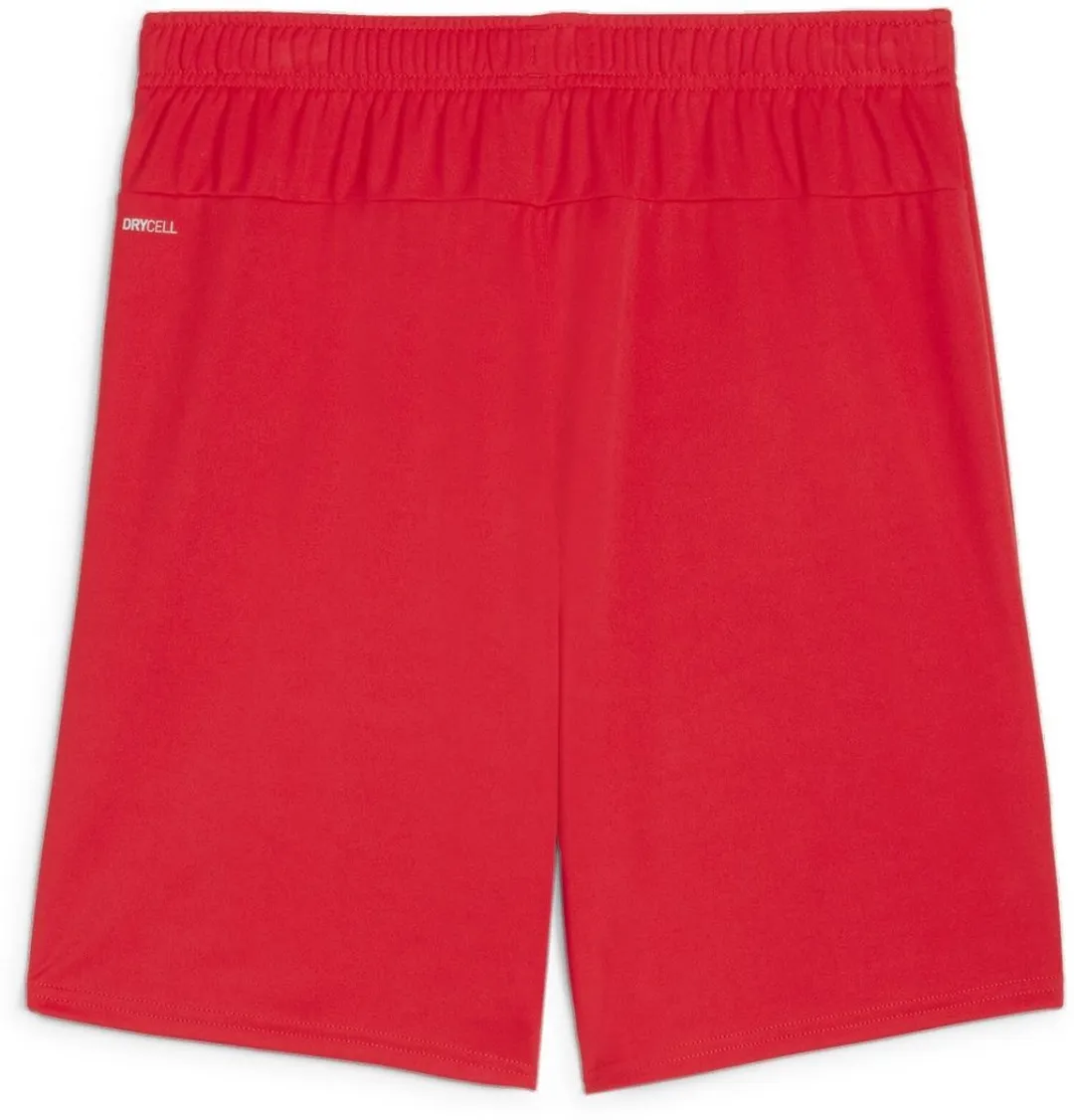 PUMA TeamGoal Shorts 705752 - 3XL - Puma Red/White