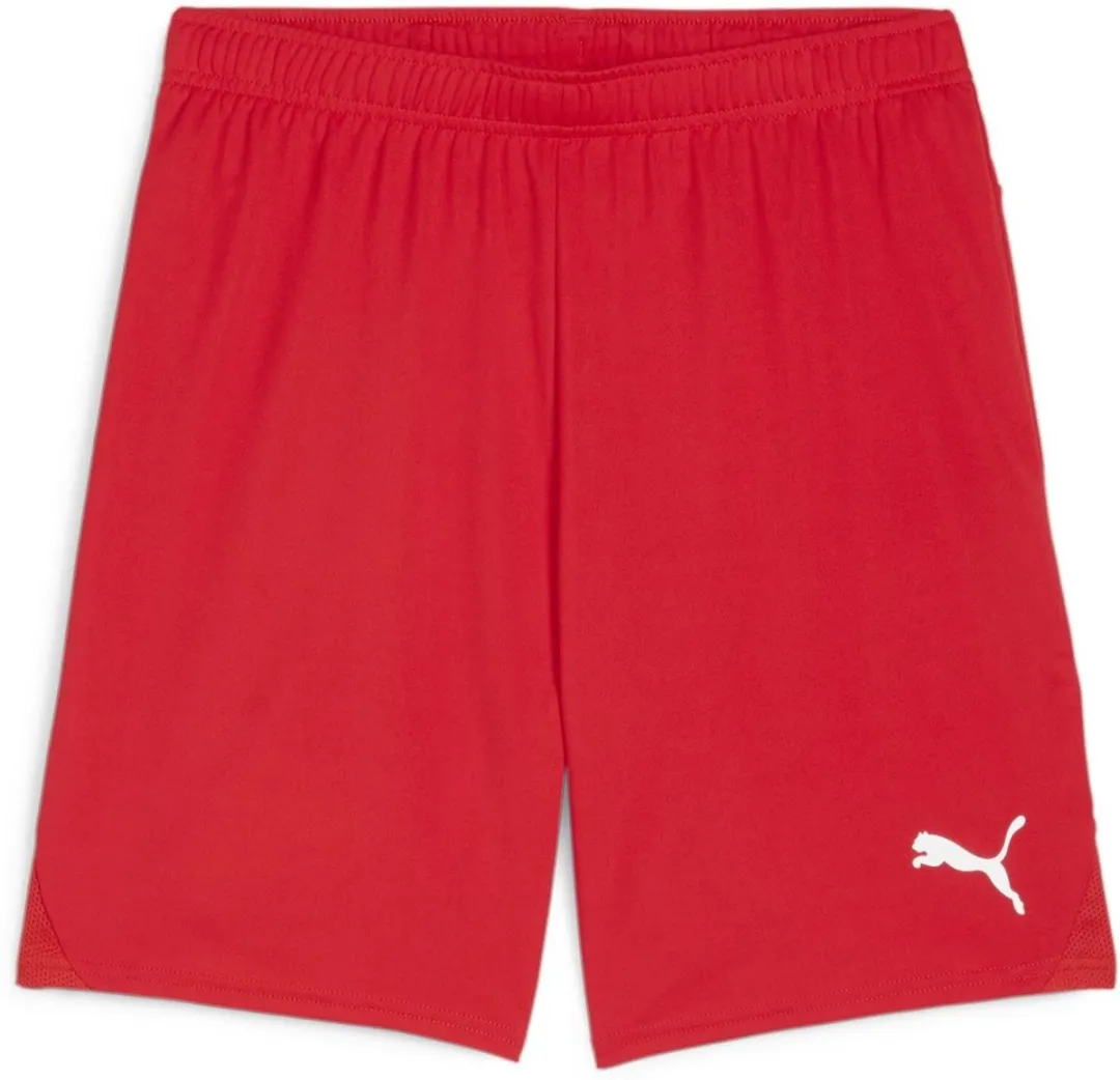 PUMA TeamGoal Shorts 705752