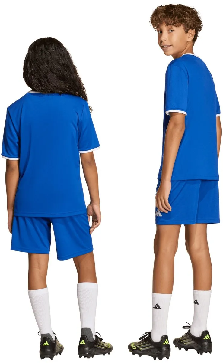 Adidas Entrada 26 Korte Broek - 116 Team Royal Blue
