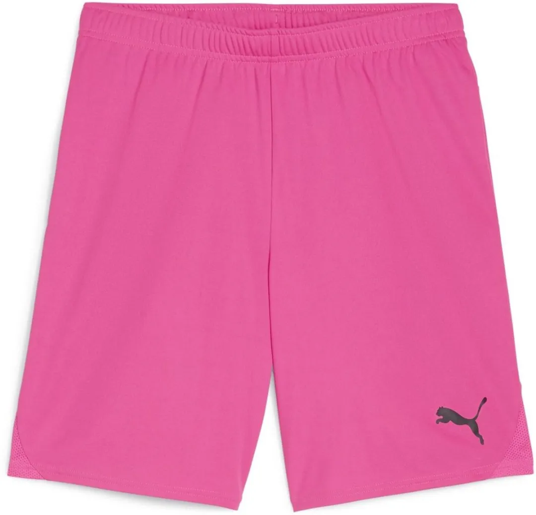 PUMA TeamGoal Shorts 705752