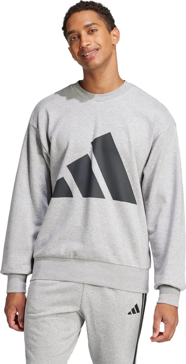 adidas Essentials Big Logo French Terry Sweatshirt JE8952