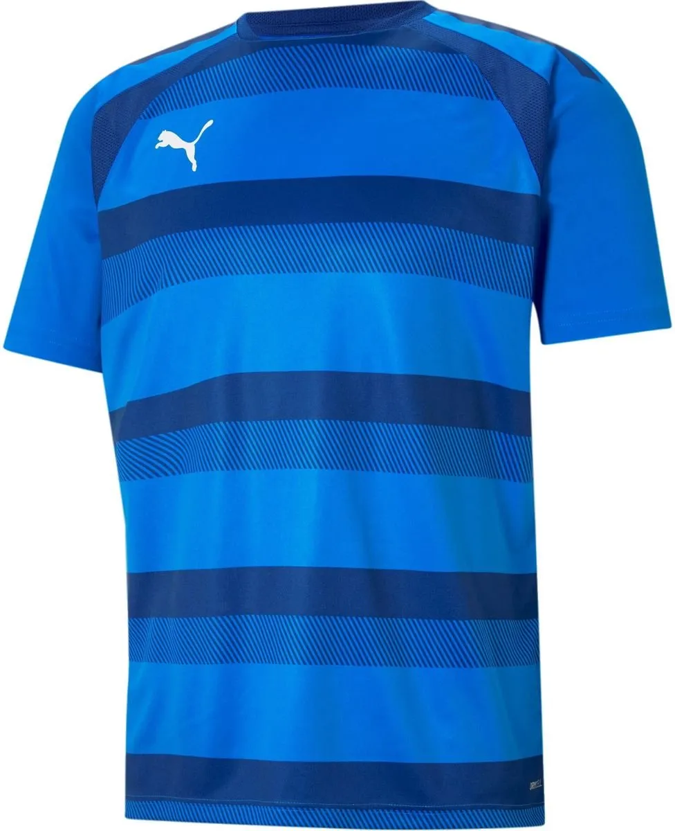 PUMA Teamvision Shirt Heren