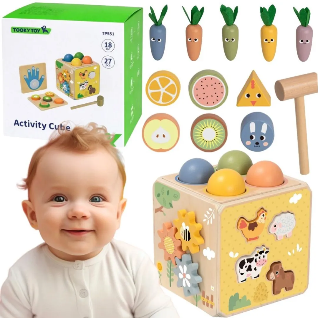 Tooky Toy Wooden Spring Educational Cube 5-in-1