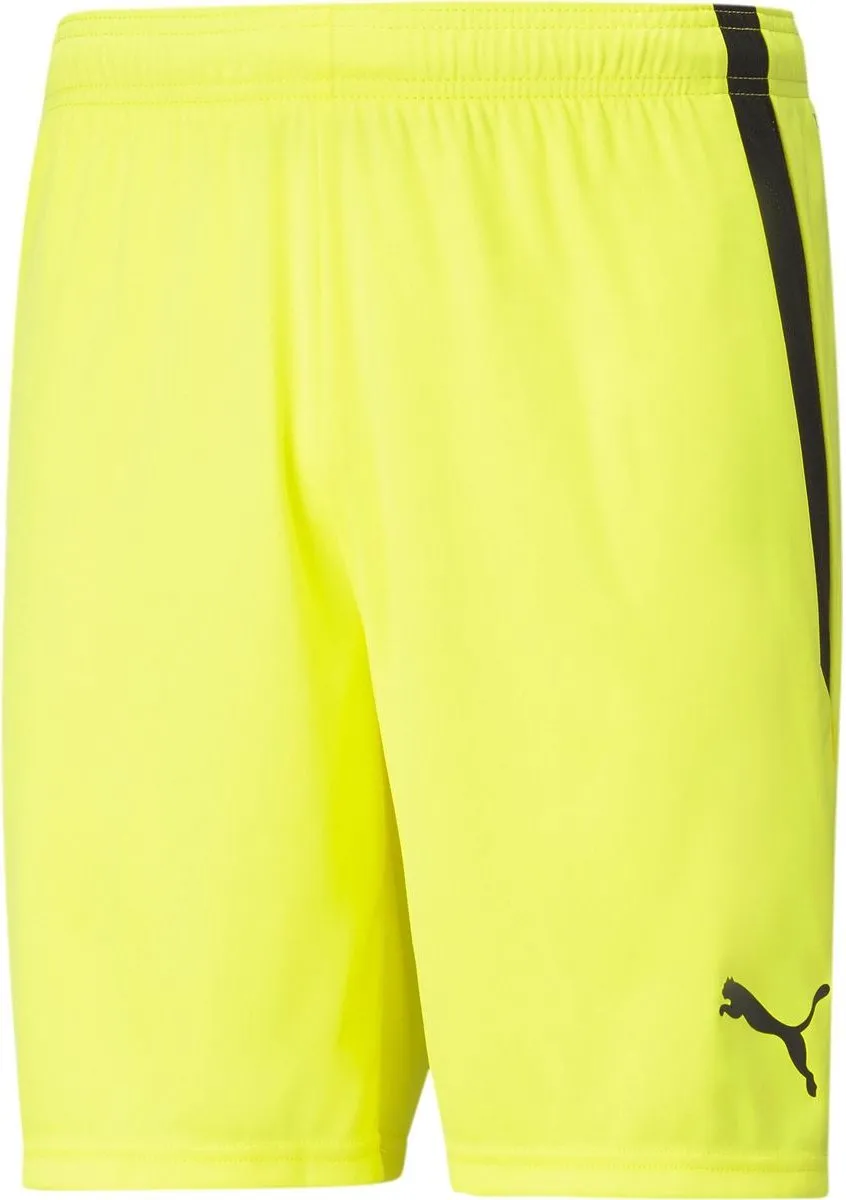 PUMA Teamliga Short Heren