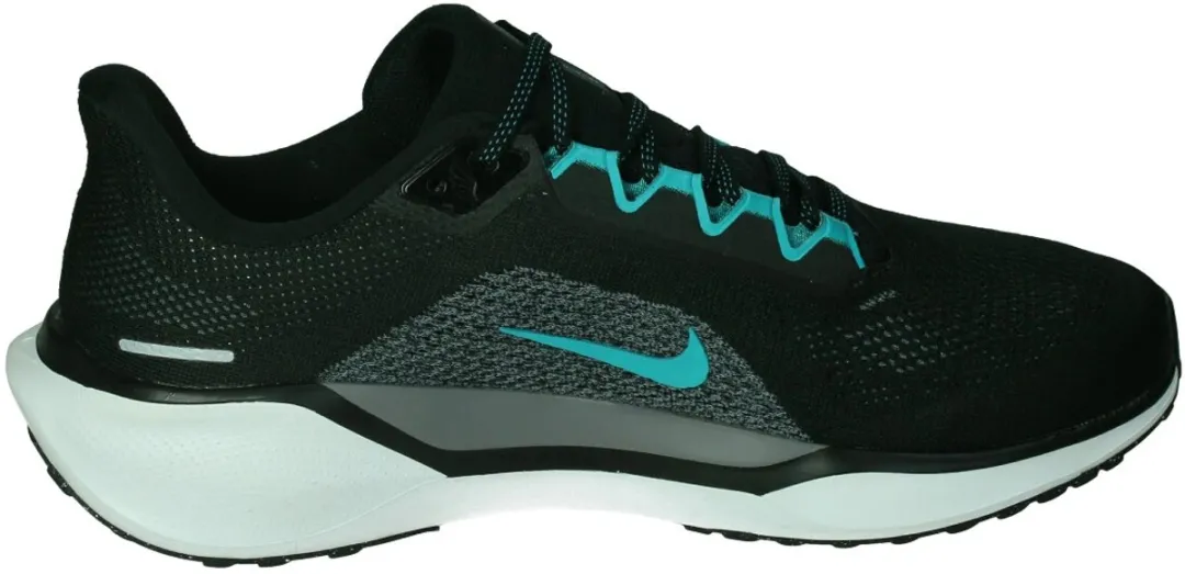 Nike Pegasus 41 Hardloopschoenen Heren - 44
