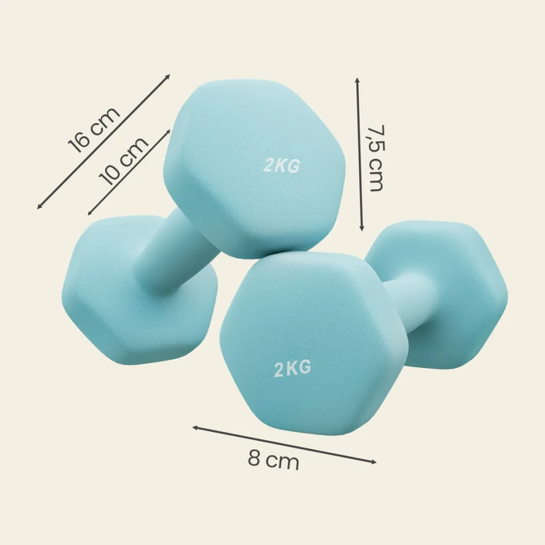 Songmics SYL904Q01 Halterset 2x2kg - Lichtblauw