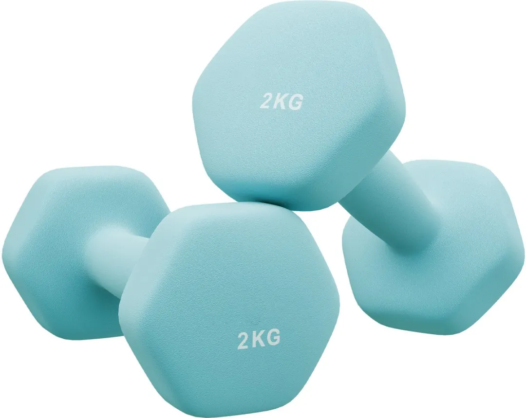 Songmics SYL904Q01 Halterset 2x2kg
