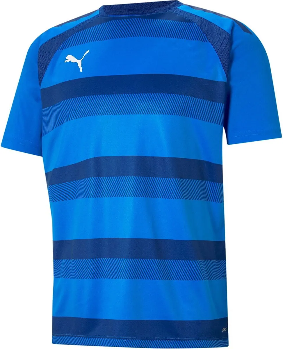 PUMA Teamvision Shirt Heren