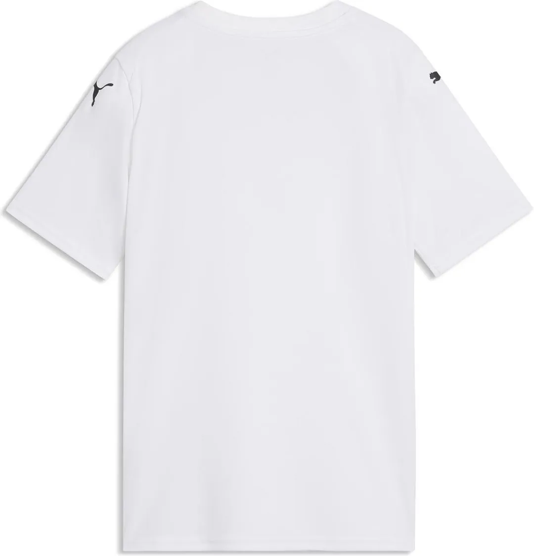 PUMA Teamfinal Graphic Shirt Kinderen 164 - Wit