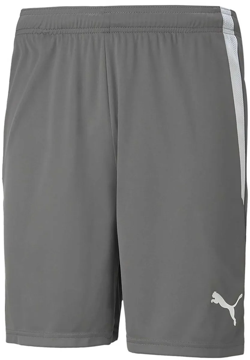 PUMA Teamliga Short Heren XXL