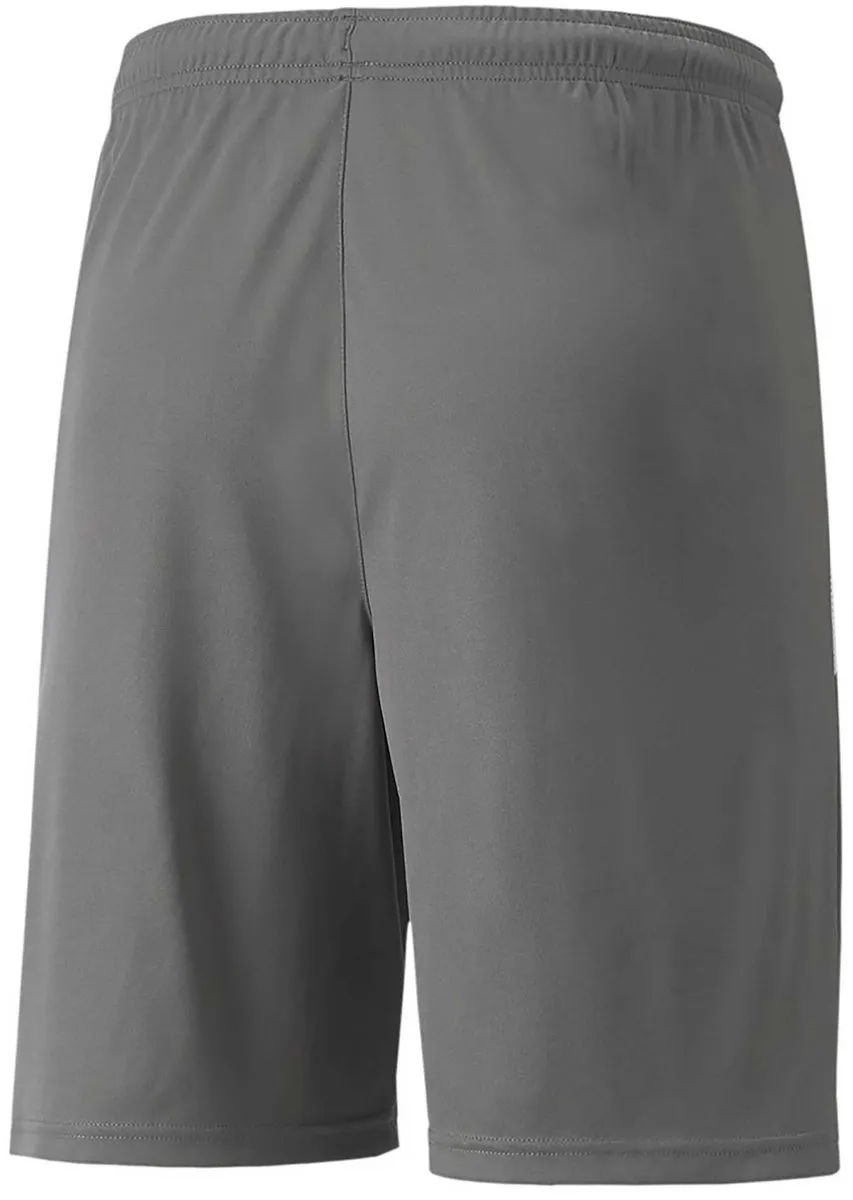 PUMA Teamliga Short Heren XXL - Grijs