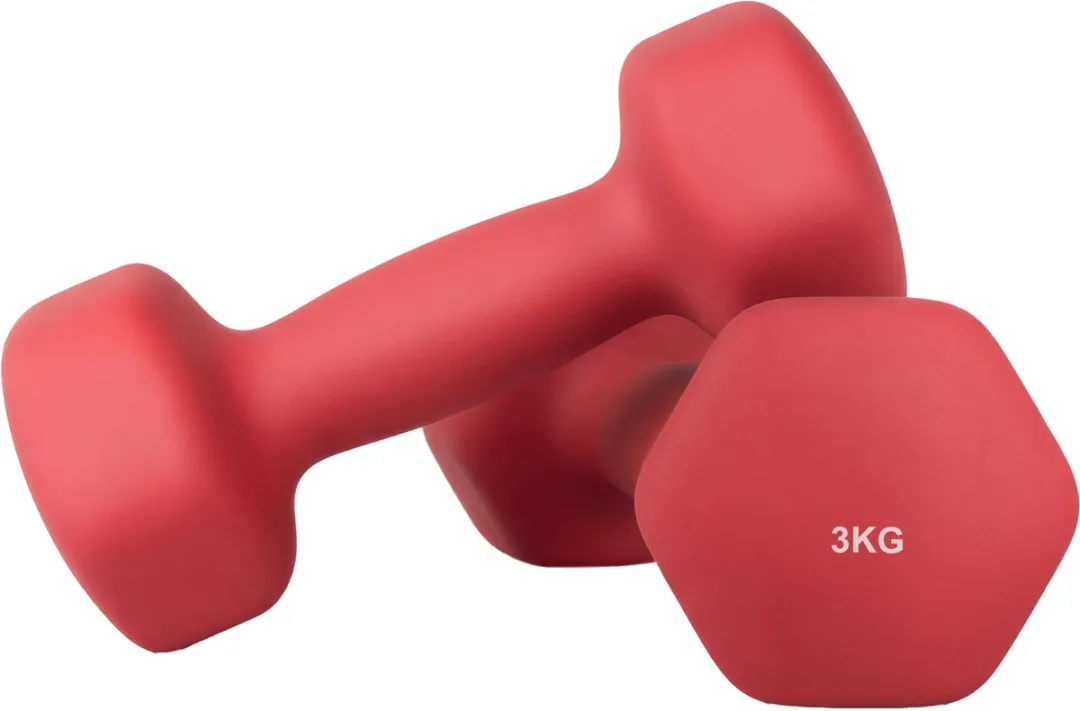 Songmics SYL66RD Hexagon Dumbbells 3kg