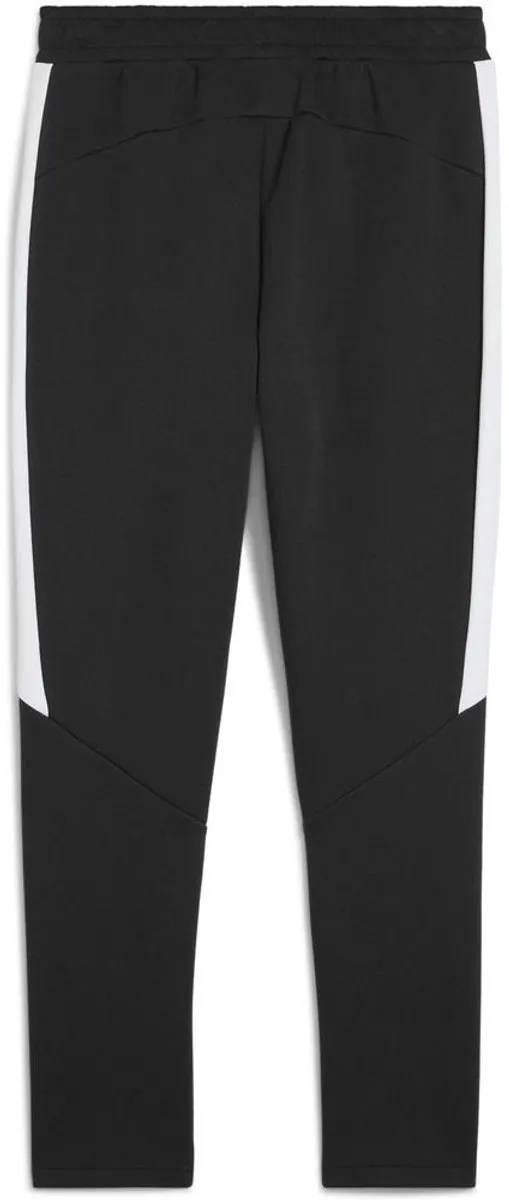 PUMA TeamEVOSTRIPE Sporthose 659948 - S - Zwart/Zilver/Wit