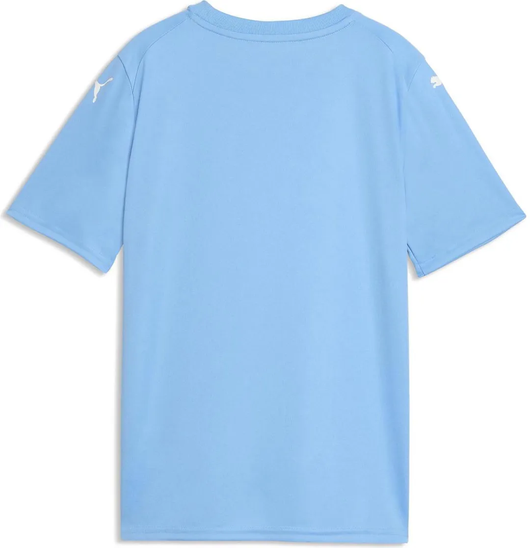 PUMA Teamfinal Graphic Shirt Kinderen 164 - Hemelsblauw
