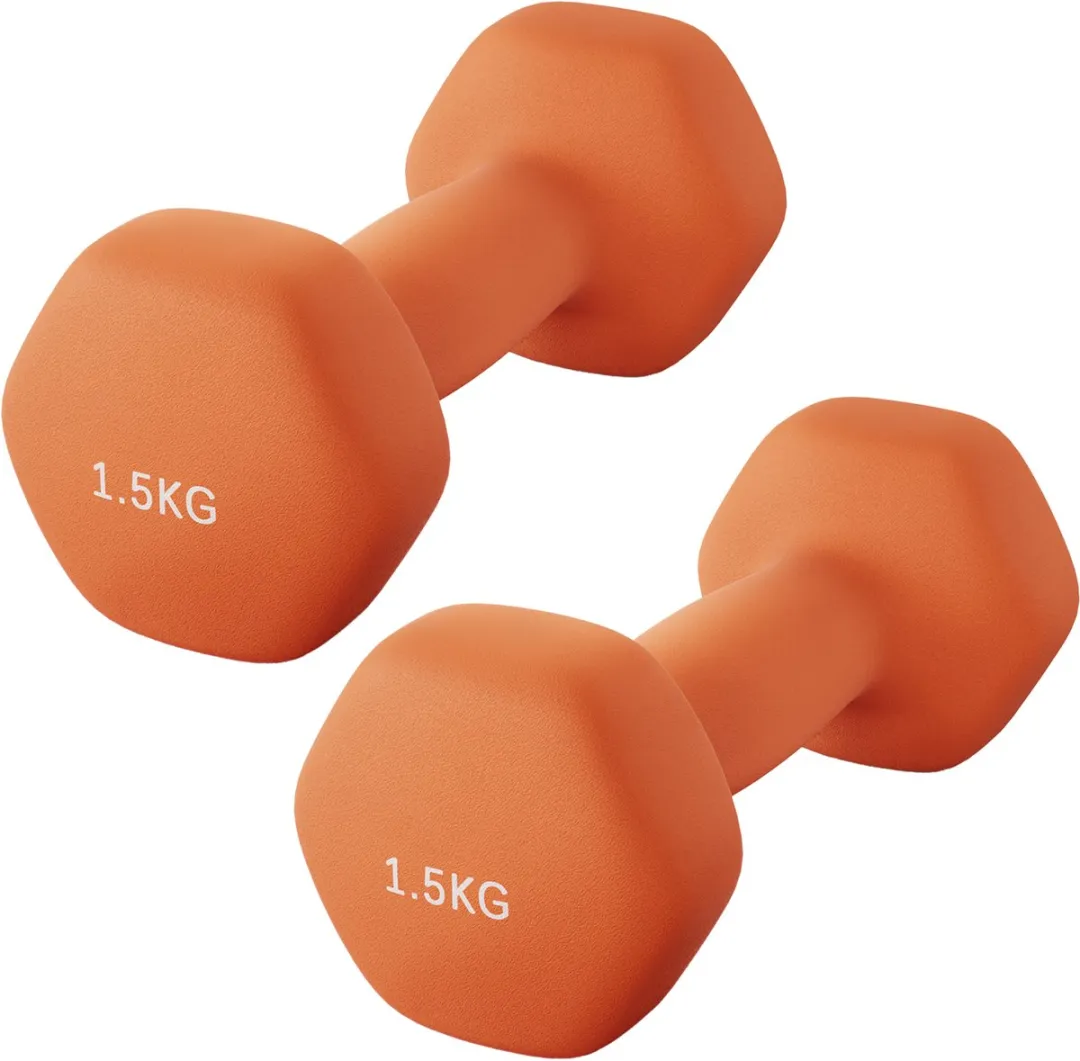 Songmics SYL63OG Halterset 2x1,5kg