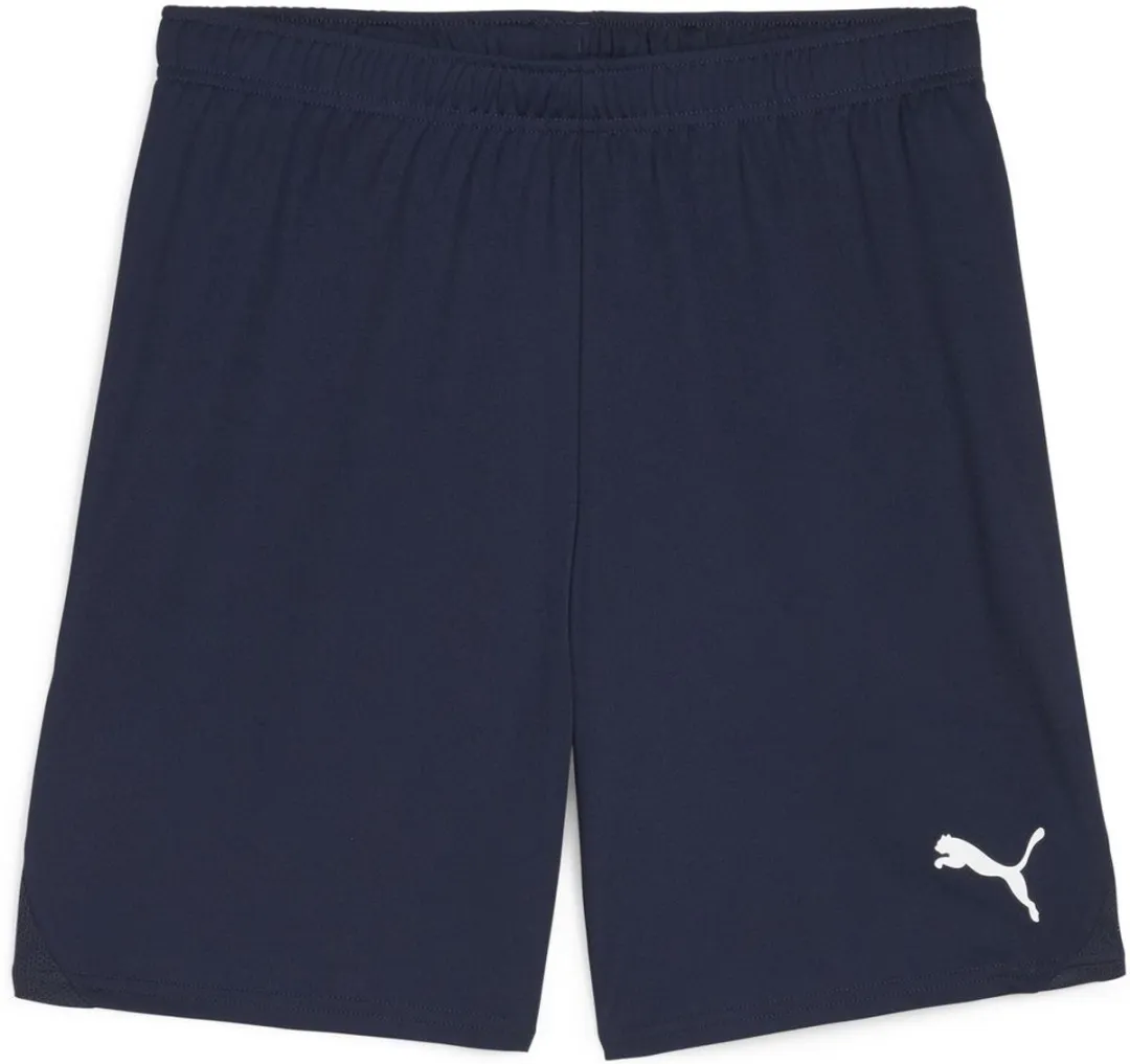 PUMA TeamGoal Shorts 705752