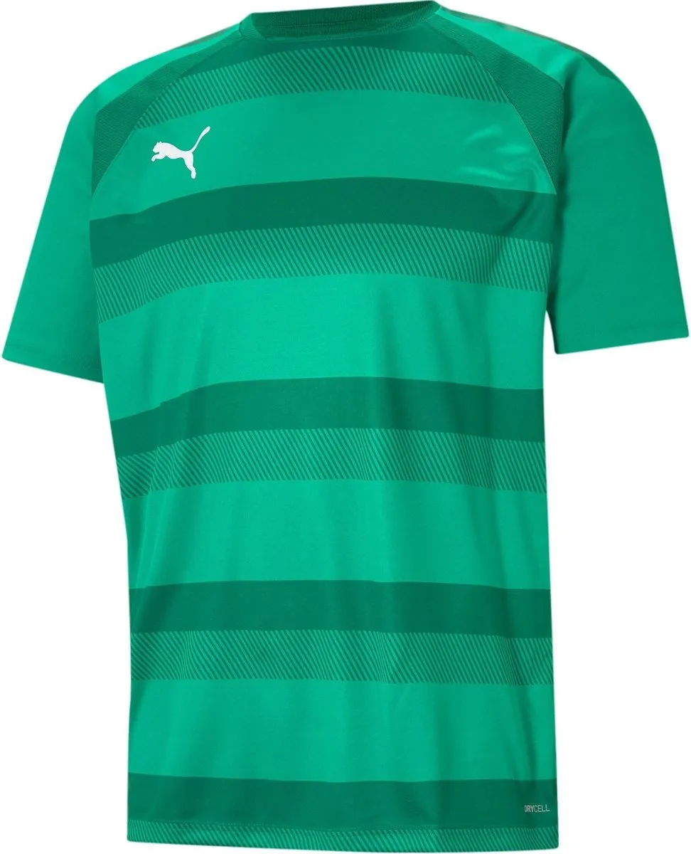PUMA Teamvision Shirt Heren