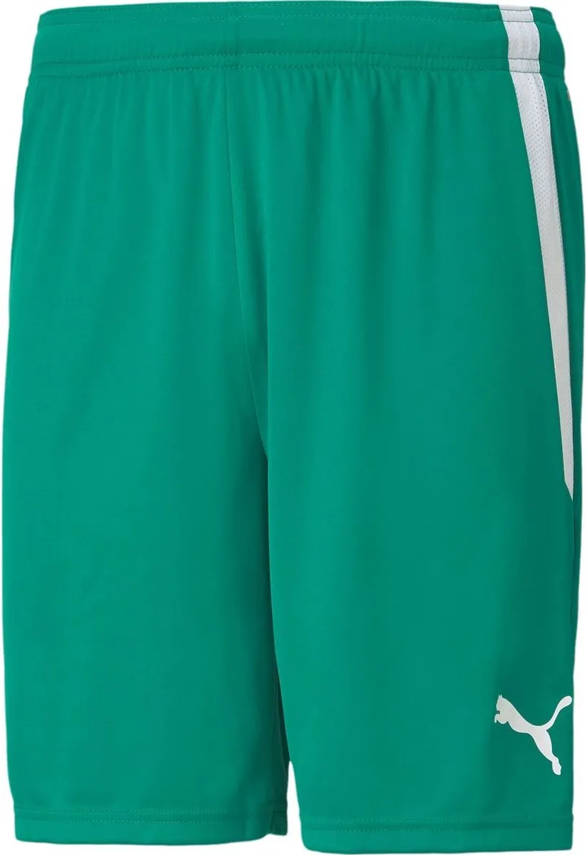 PUMA TeamLIGA Short Junior 116 - Groen