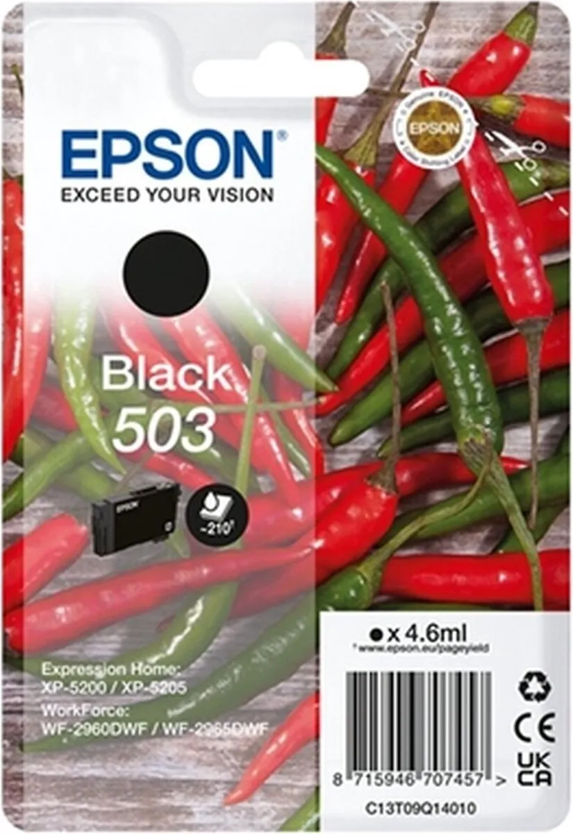Epson 503 C13T09Q14010 Inktcartridge - Zwart