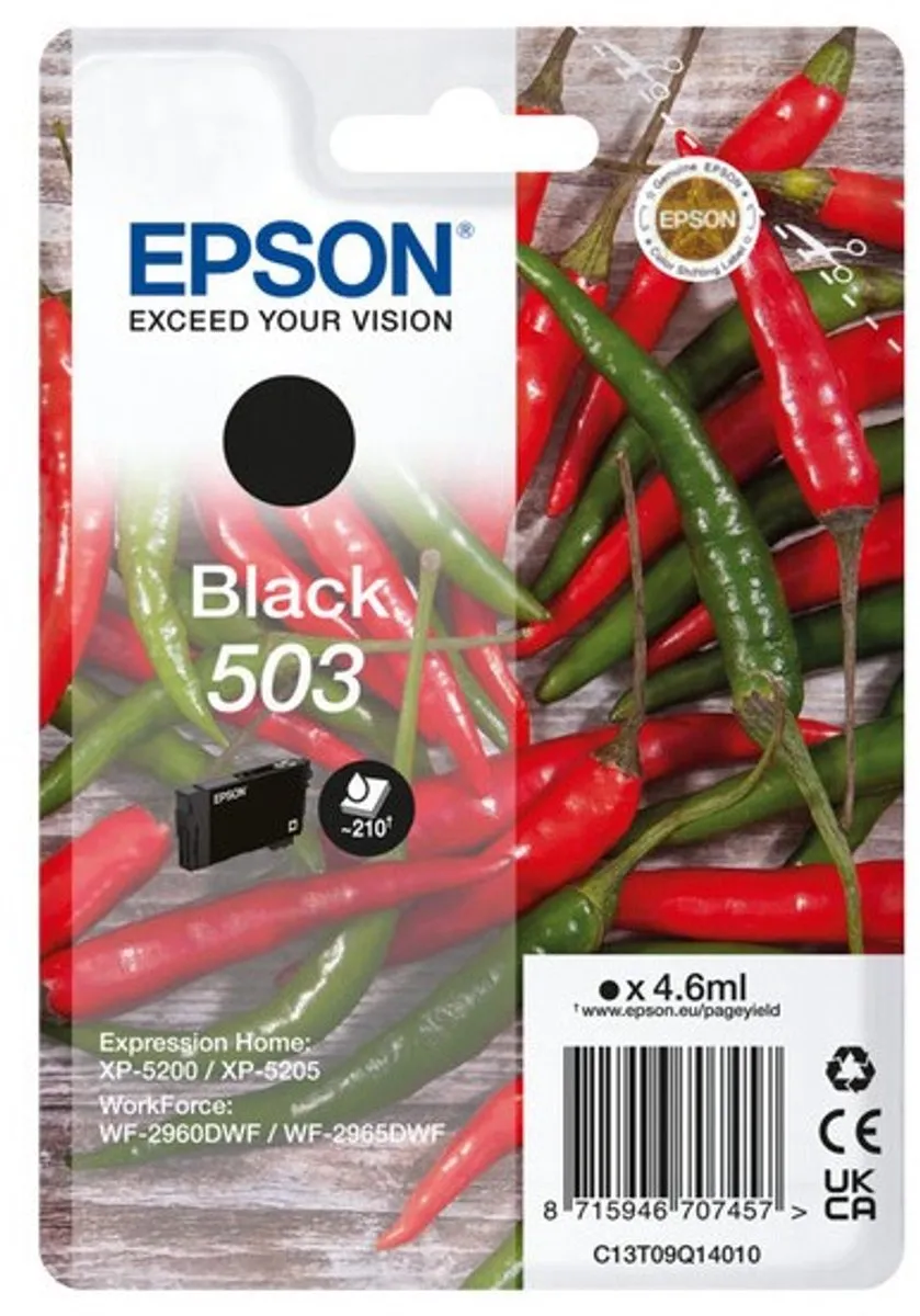 Epson 503 C13T09Q14010 Inktcartridge - Zwart