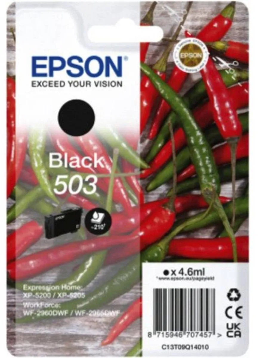 Epson 503 C13T09Q14010 Inktcartridge - Zwart