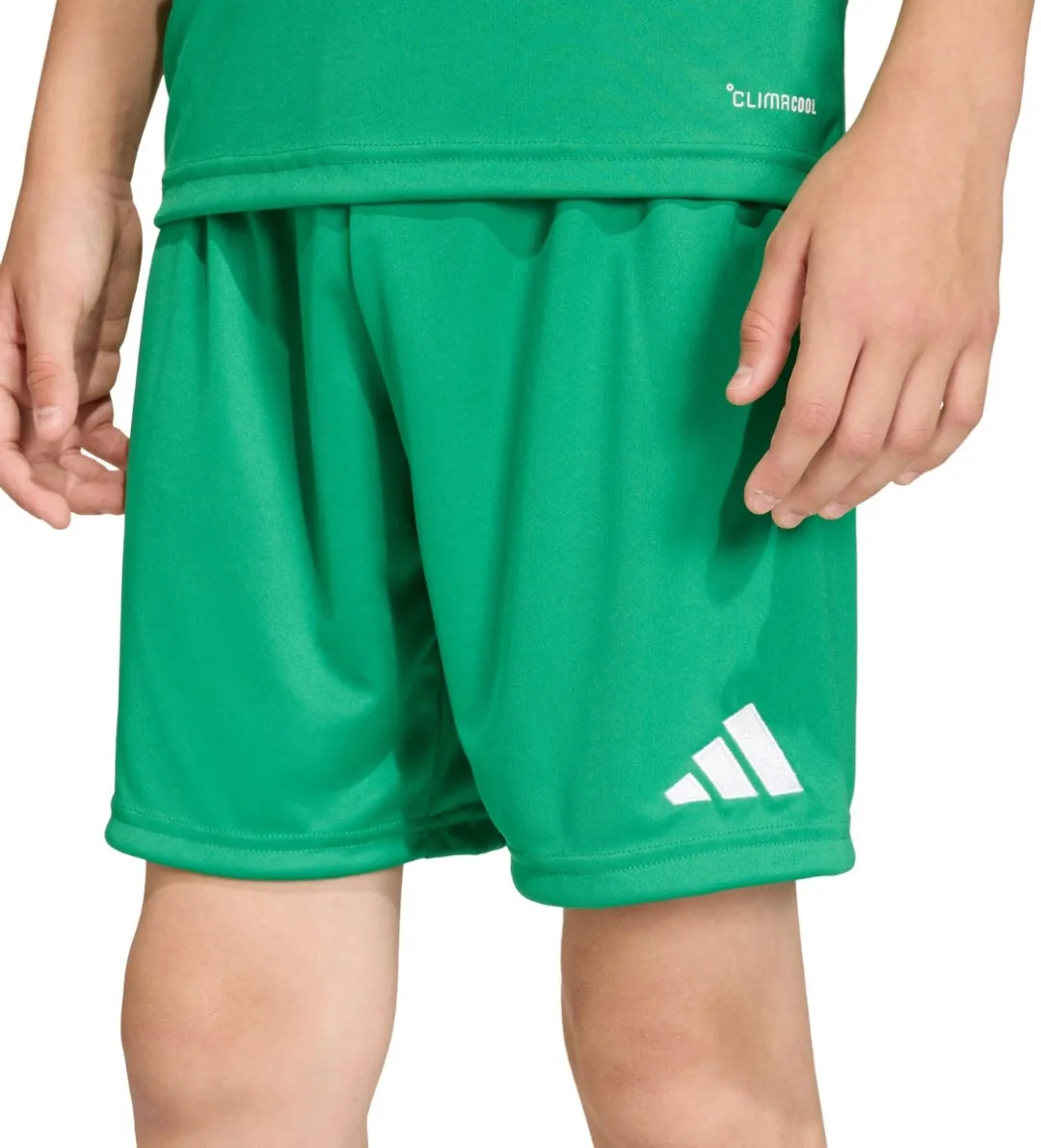 Adidas Entrada 26 Korte Broek - 128cm Team Green