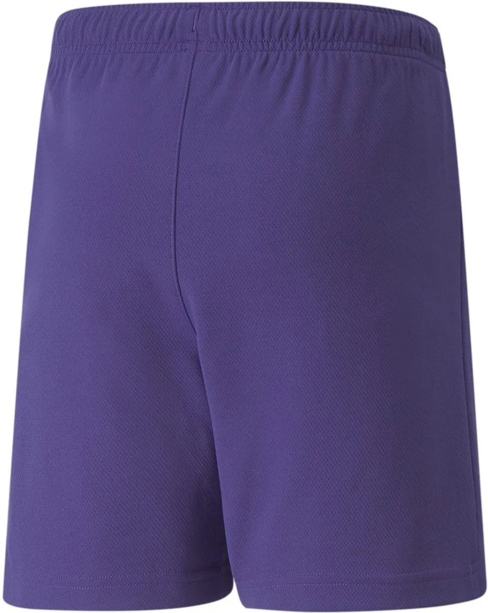 PUMA Teamrise Short Kinderen 140 - Paars