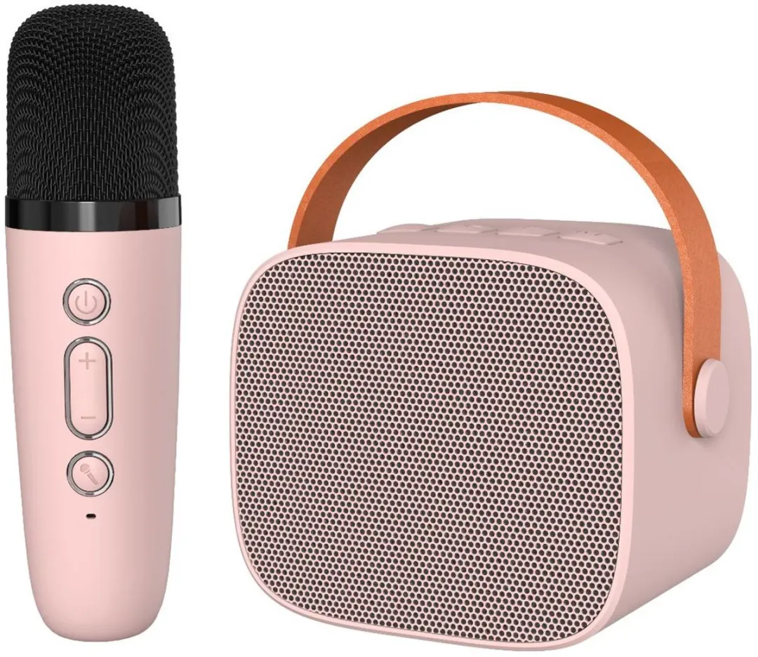 ECTEATOY Mini Karaokemachine - 2 Microfoons - Roze