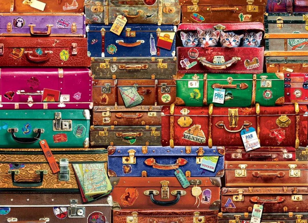 Eurographics Travel Suitcases Puzzel 1000 Stuks - Meerkleurig