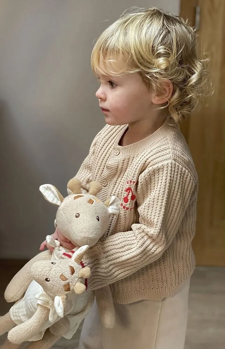 Egmont Toys Knuffel Giraf 40cm - Meerkleurig