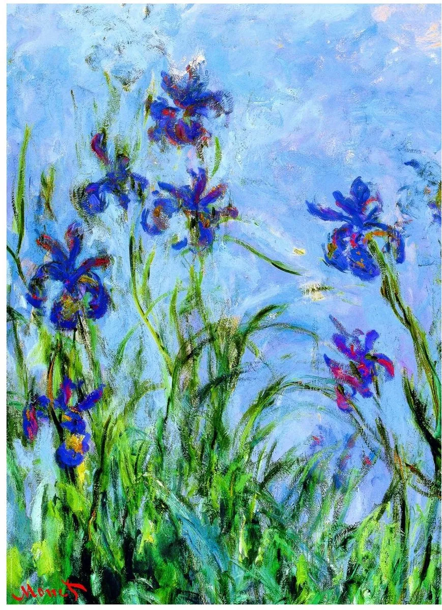 Eurographics Irissen Fine Art Legpuzzel 1000 Stuks - Monet - eu6000-2034