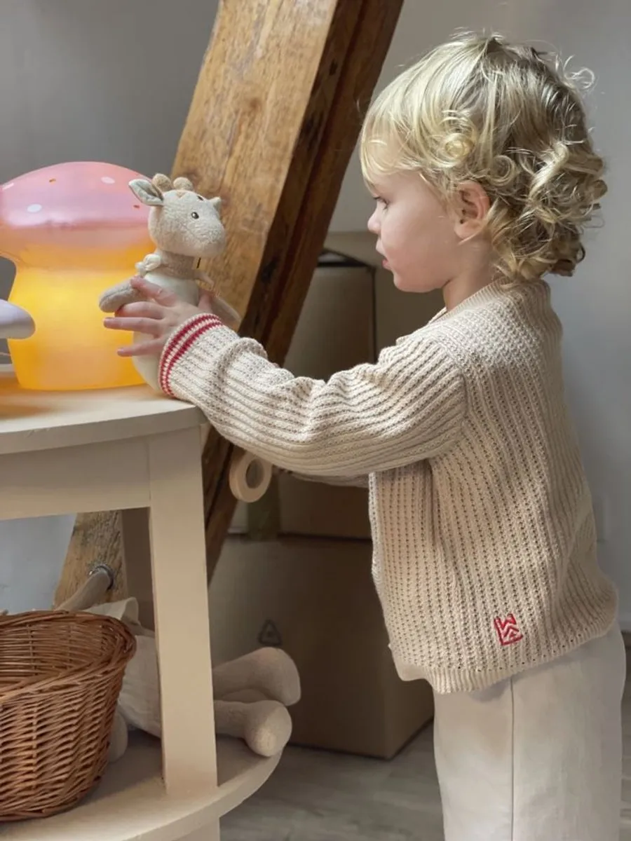 Egmont Toys Leonie Knuffel Giraf 22cm - Meerkleurig