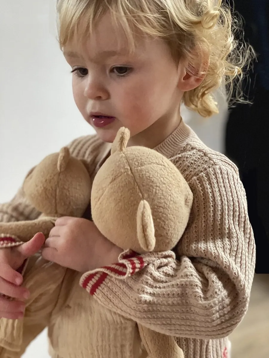 Egmont Toys Knuffelbeer Bio Katoen 40cm - Meerkleurig