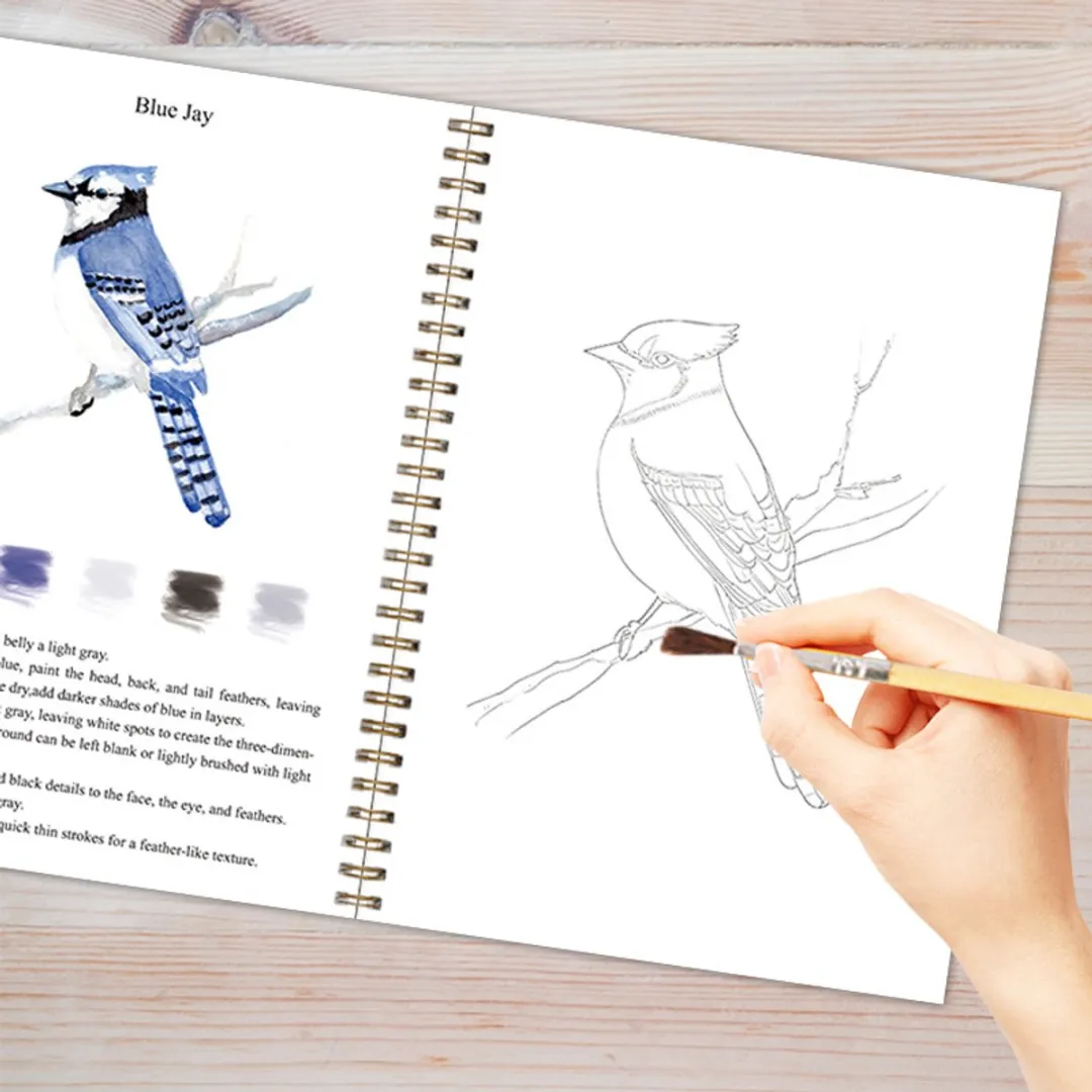 ECTEATOY Beginners Aquarelset - 12 Verven + Penselen - Aquarelkleurboek 16 Pagina's - Wit
