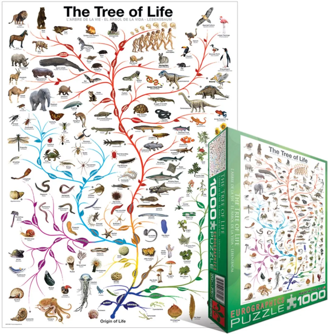 Eurographics De Boom des Levens Evolutiediagram Legpuzzel 1000 Stuks - 48x68cm