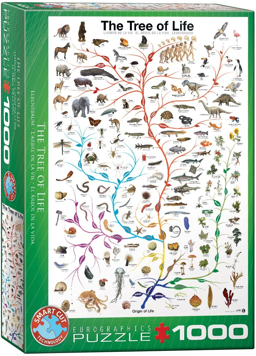 Eurographics De Boom des Levens Evolutiediagram Legpuzzel 1000 Stuks - 48x68cm