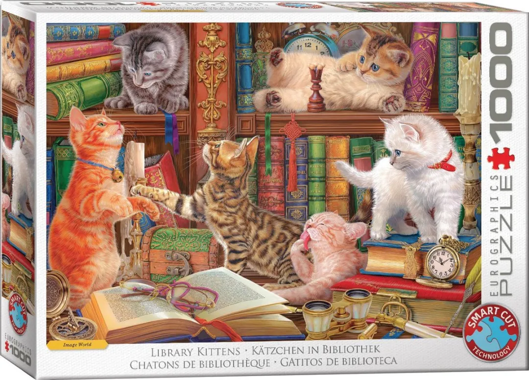 Eurographics Bibliotheek Kittens Legpuzzel 1000 Stuks - 68x48cm - Meerkleurig
