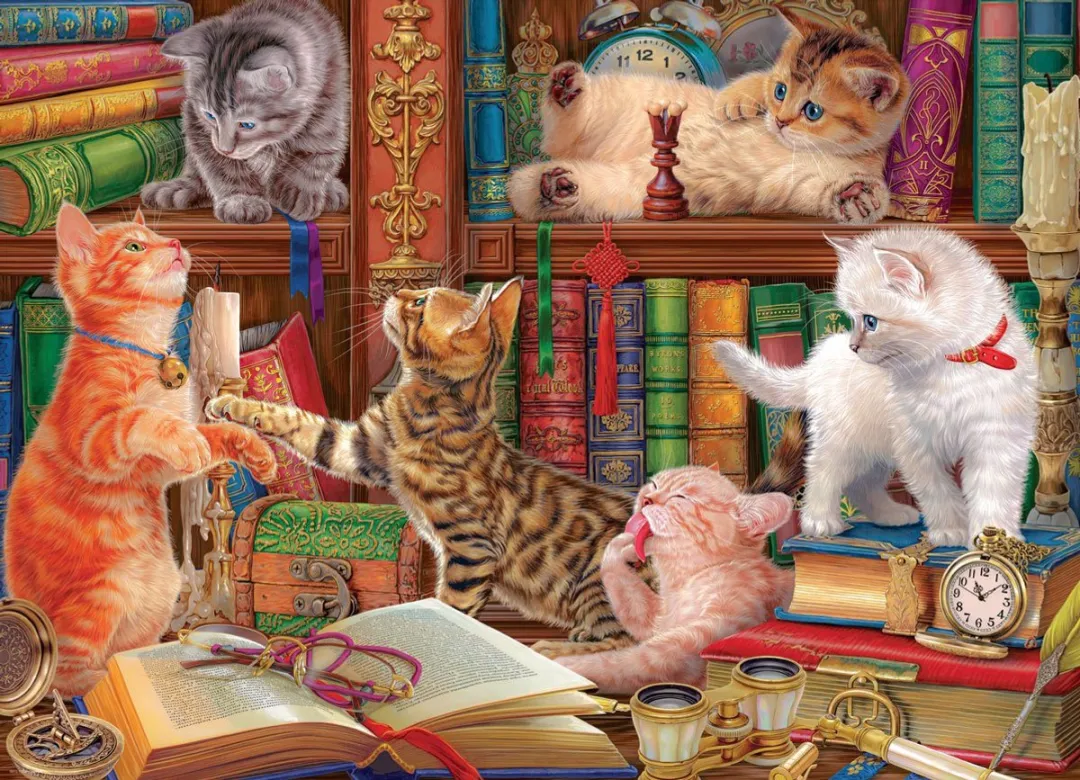 Eurographics Bibliotheek Kittens Legpuzzel 1000 Stuks
