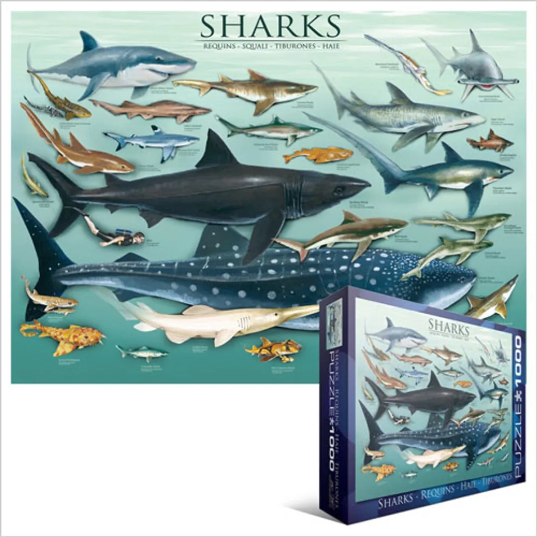 Eurographics Haaien Legpuzzel 1000 Stuks - eu6000-0079