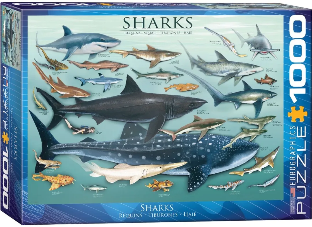 Eurographics Haaien Legpuzzel 1000 Stuks