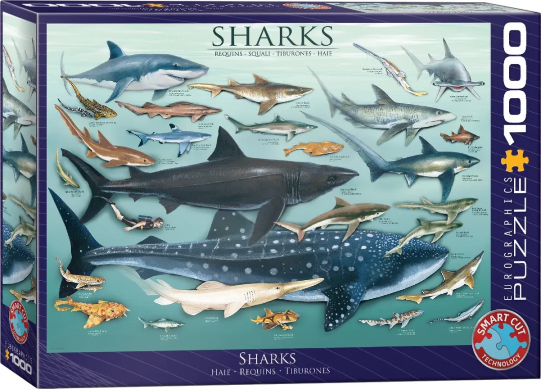 Eurographics Haaien Legpuzzel 1000 Stuks - eu6000-0079