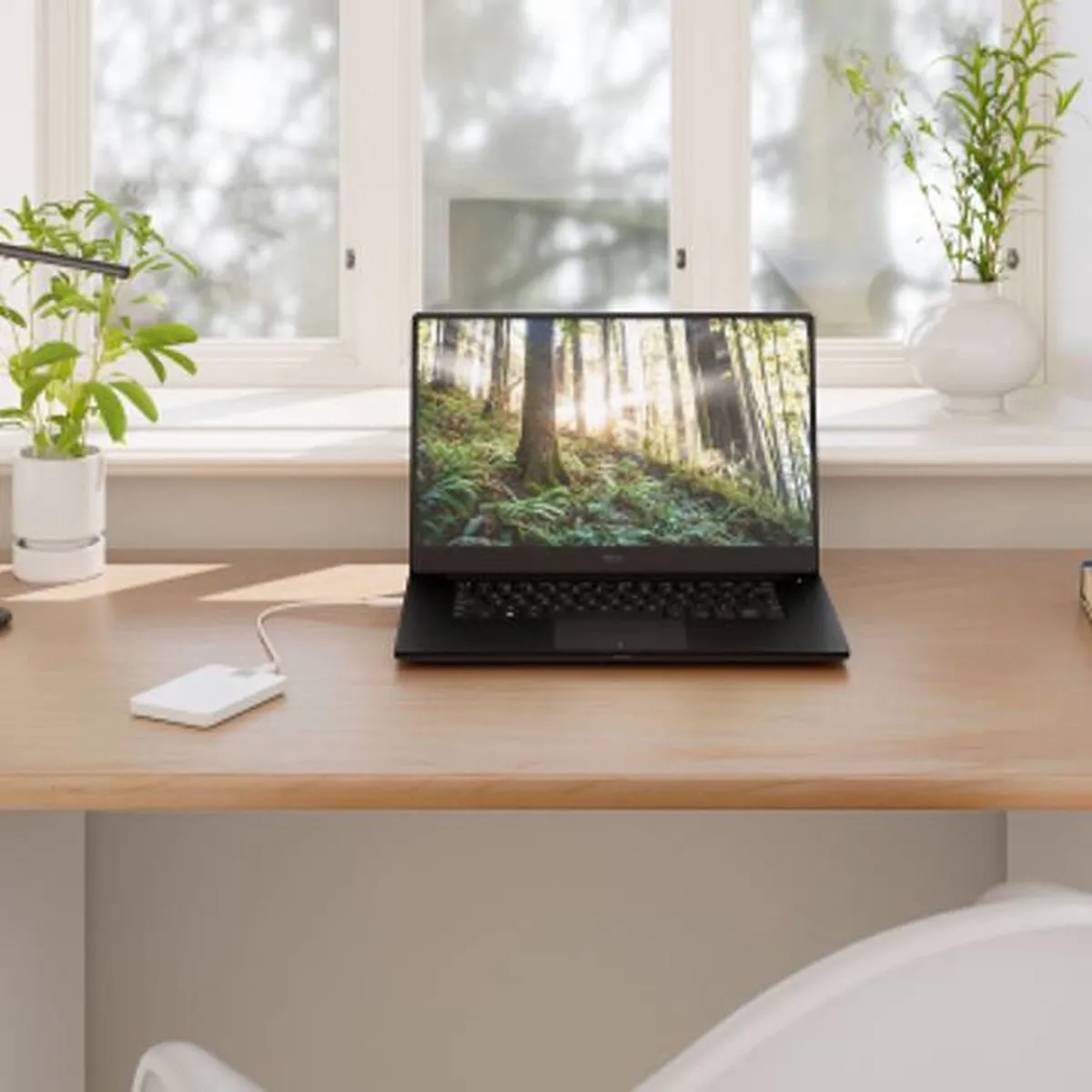 Seagate Ultra Touch - Draagbare externe harde schijf - Wachtwoordbeveiliging - 2TB - Wit