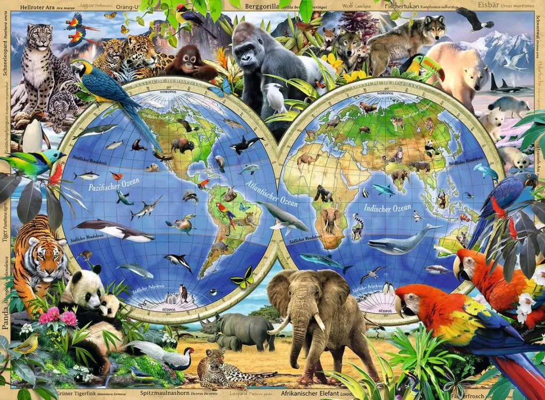 Ravensburger Contourpuzzel 100 Stuks - Meerkleurig - afbeelding 2 van 2