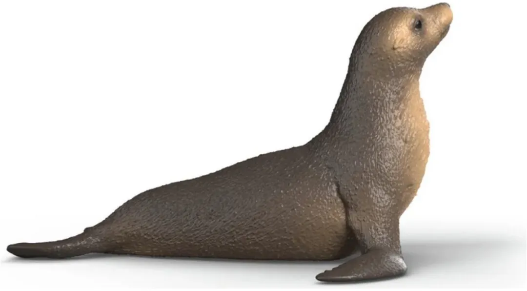 Schleich Wild Life Zeeleeuw 14933 - Meerkleurig