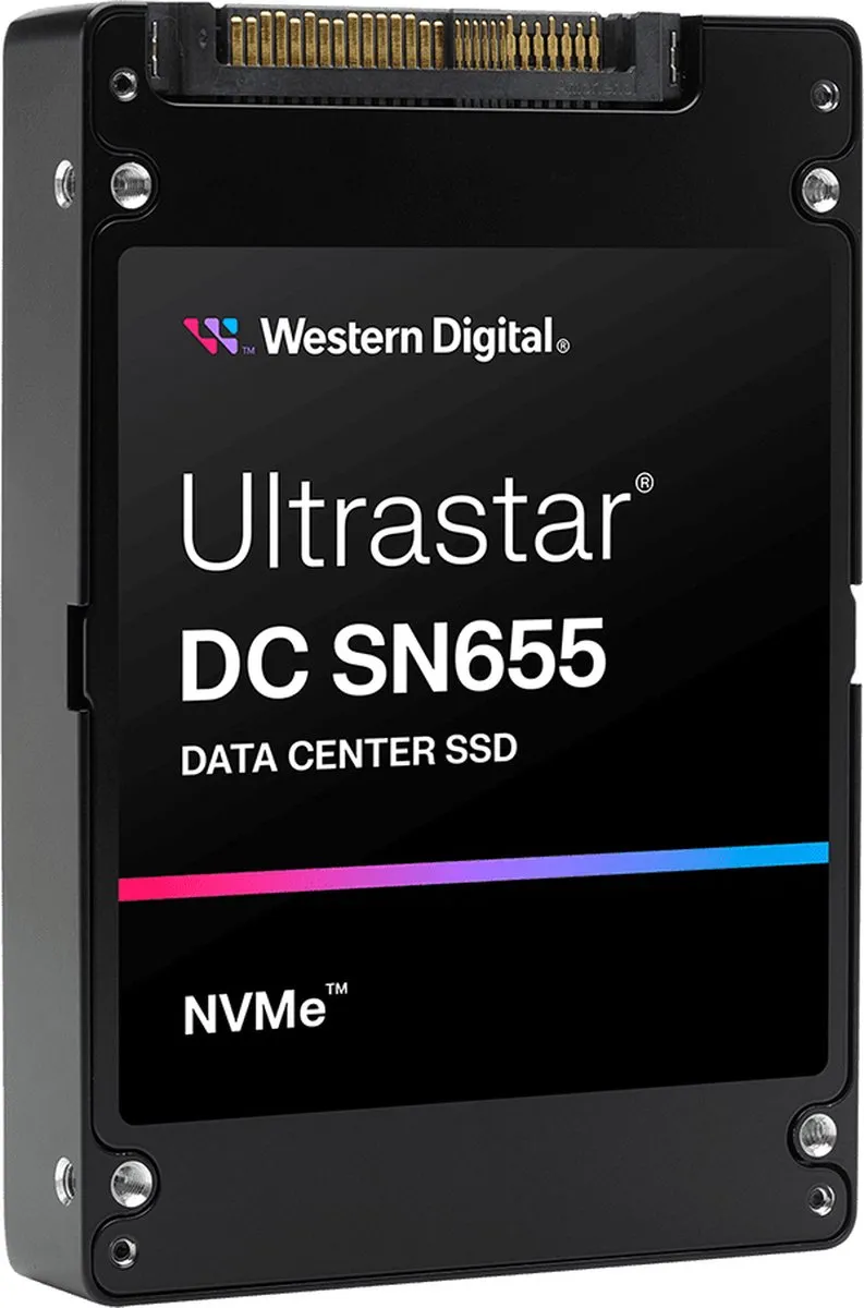 Western Digital Ultrastar DC SN655 0TS2462 SSD